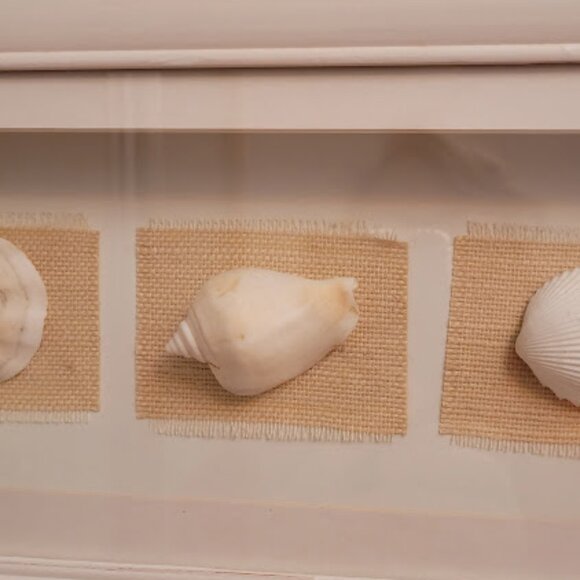 SeaShell Shadow Boxes - Picture 4 of 11
